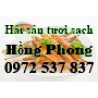 https://haisantuoingon.info/image/cache/catalog/Ca-trung/ca-trung-nuong-muoi-ot-850x850-product_list.jpg
