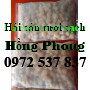 https://haisantuoingon.info/image/cache/catalog/so-oc/IMG_20171118_084706-850x850-product_list.jpg